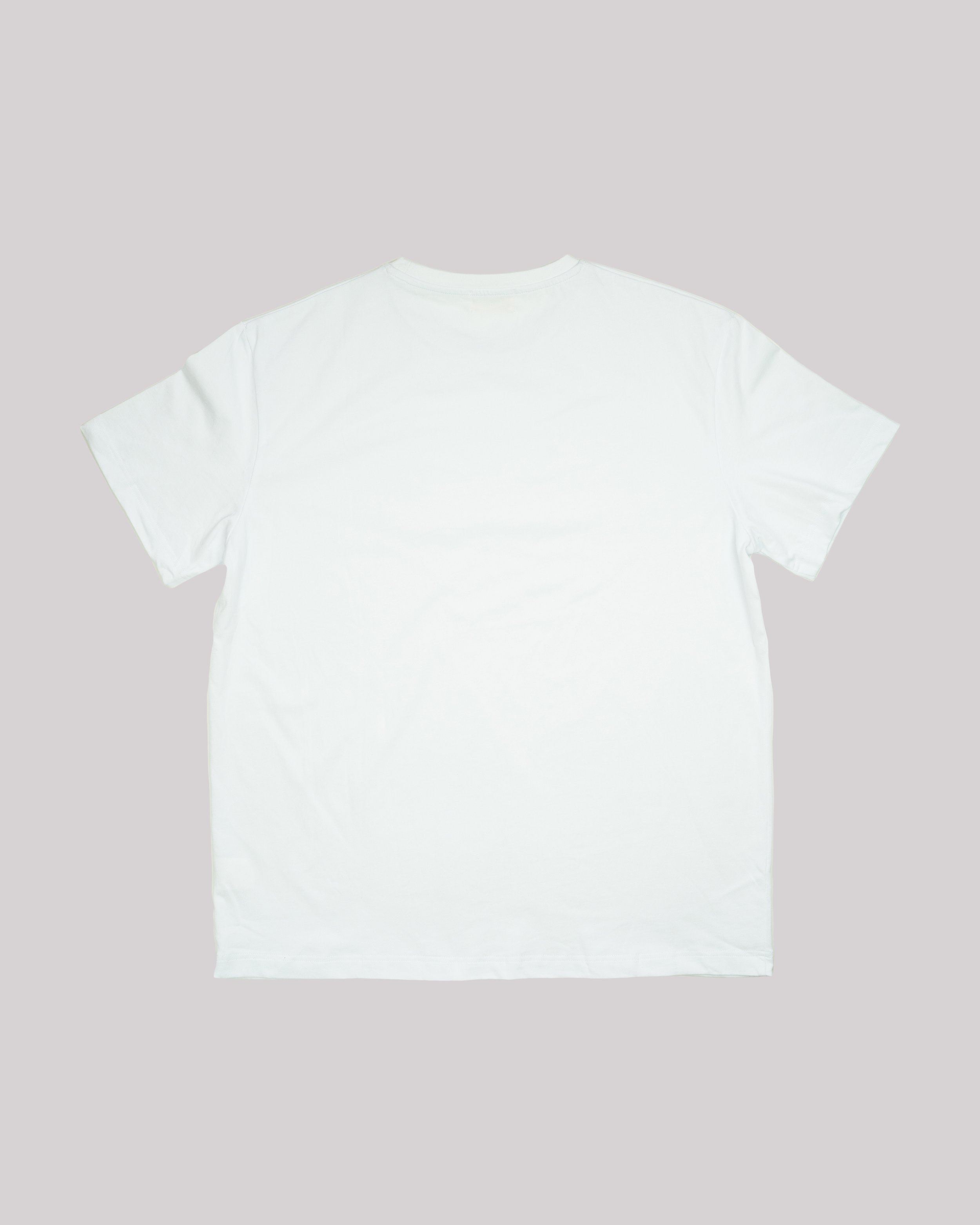 BoxLogoTee2.jpg