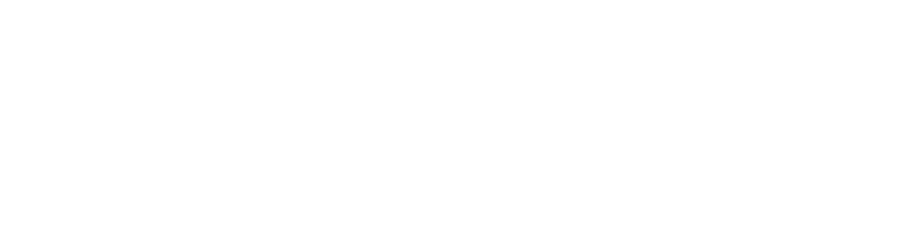 Workgroup Technology Partners