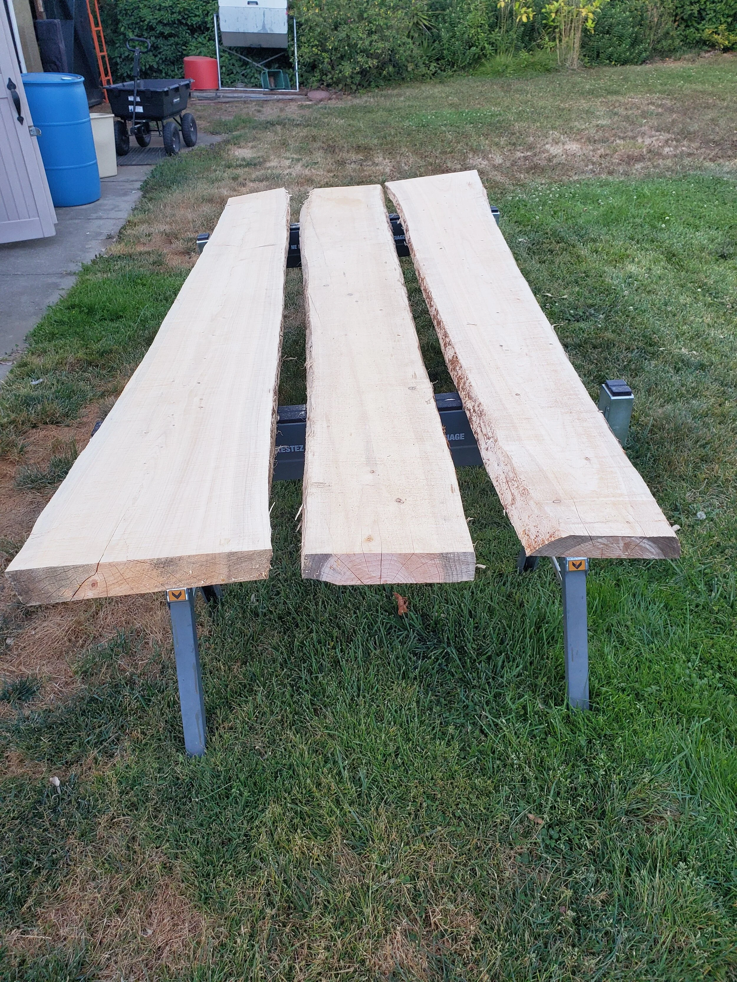 Freshly milled dried cedar