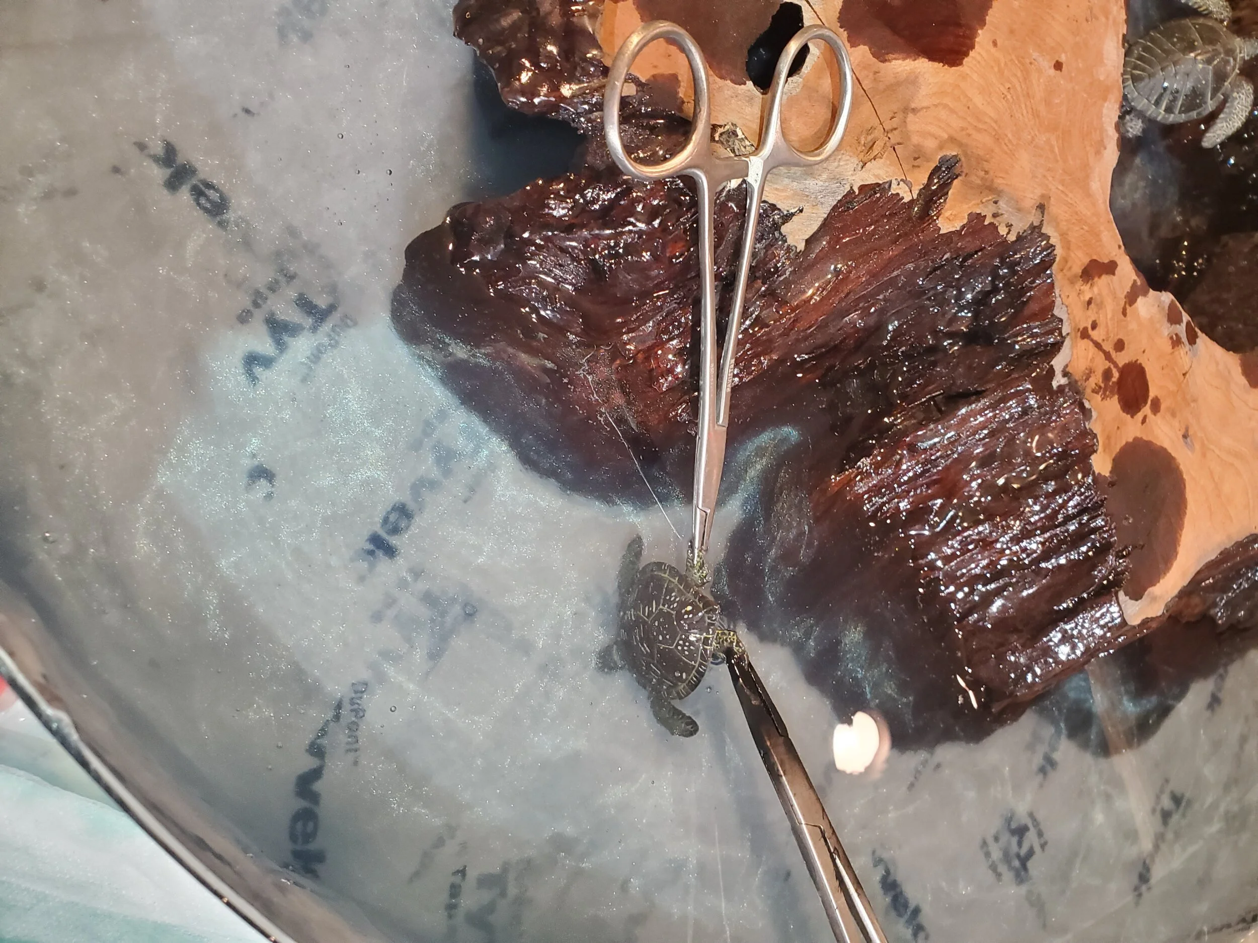 20191123_185708.jpg