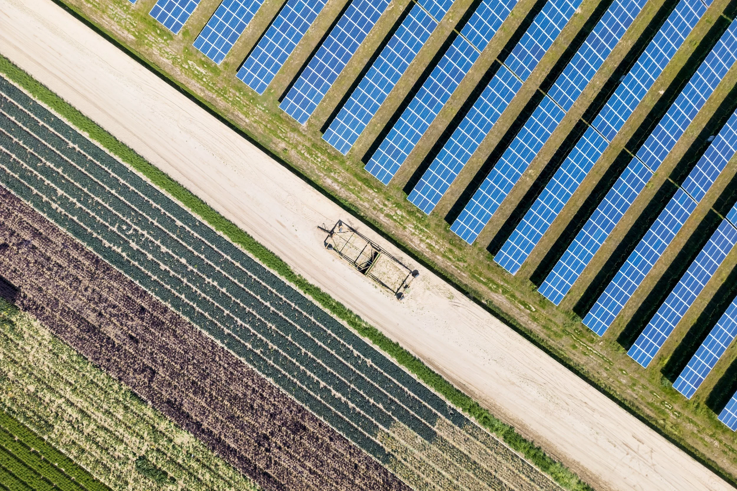 The Week in Review: March 30, 2026