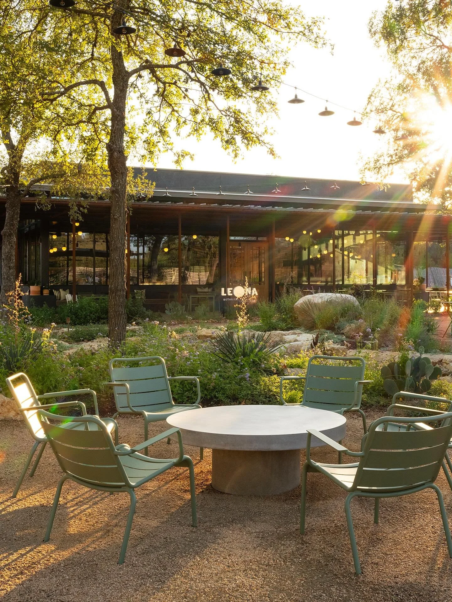 🌳Little teaser from our newest install in Austin&hellip;