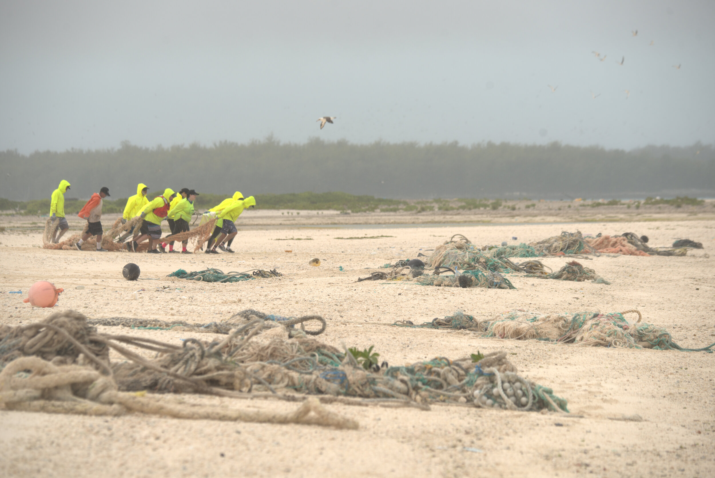 3. Dragging nets off the shores of Pihemanu Photo by Matt Chauvin PMDP.jpg