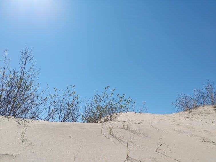 Sandbanks Provincial Park during the Summer (Copy)