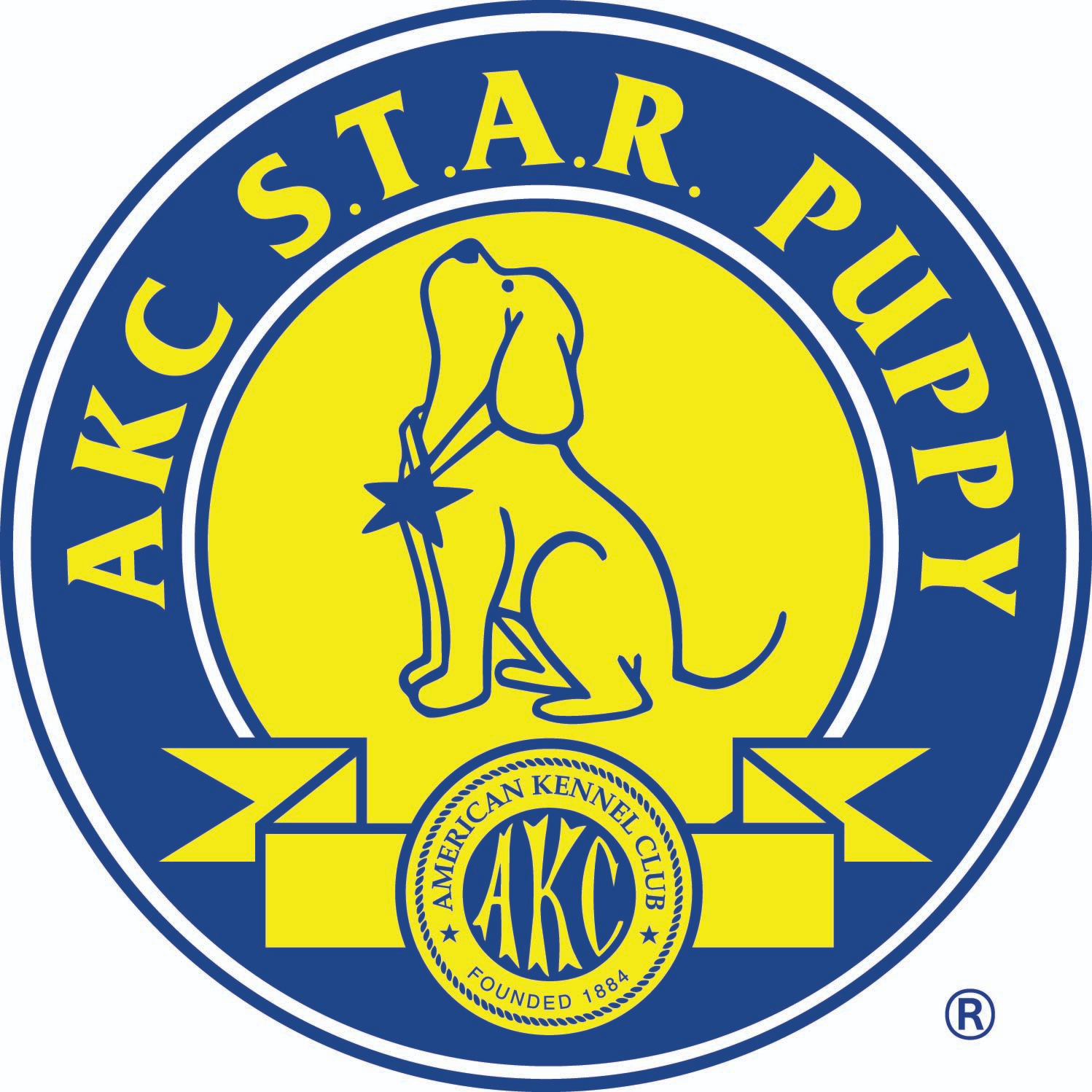 akc-star-puppy.png