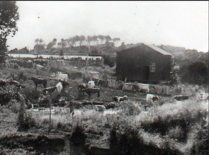 the old flax factory