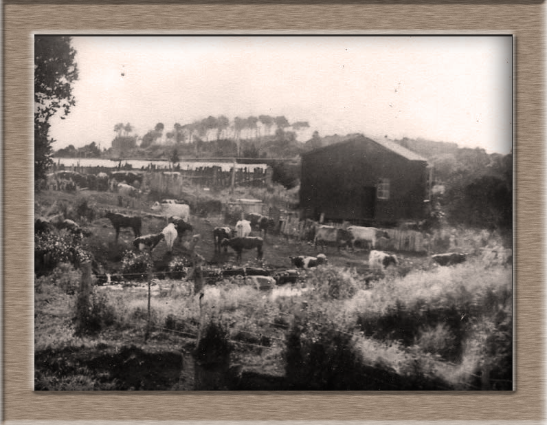 Old flax factory