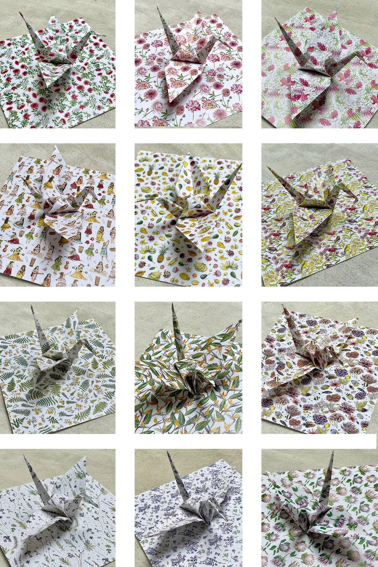 origami-cover-sheet-of-individual-pics.jpg