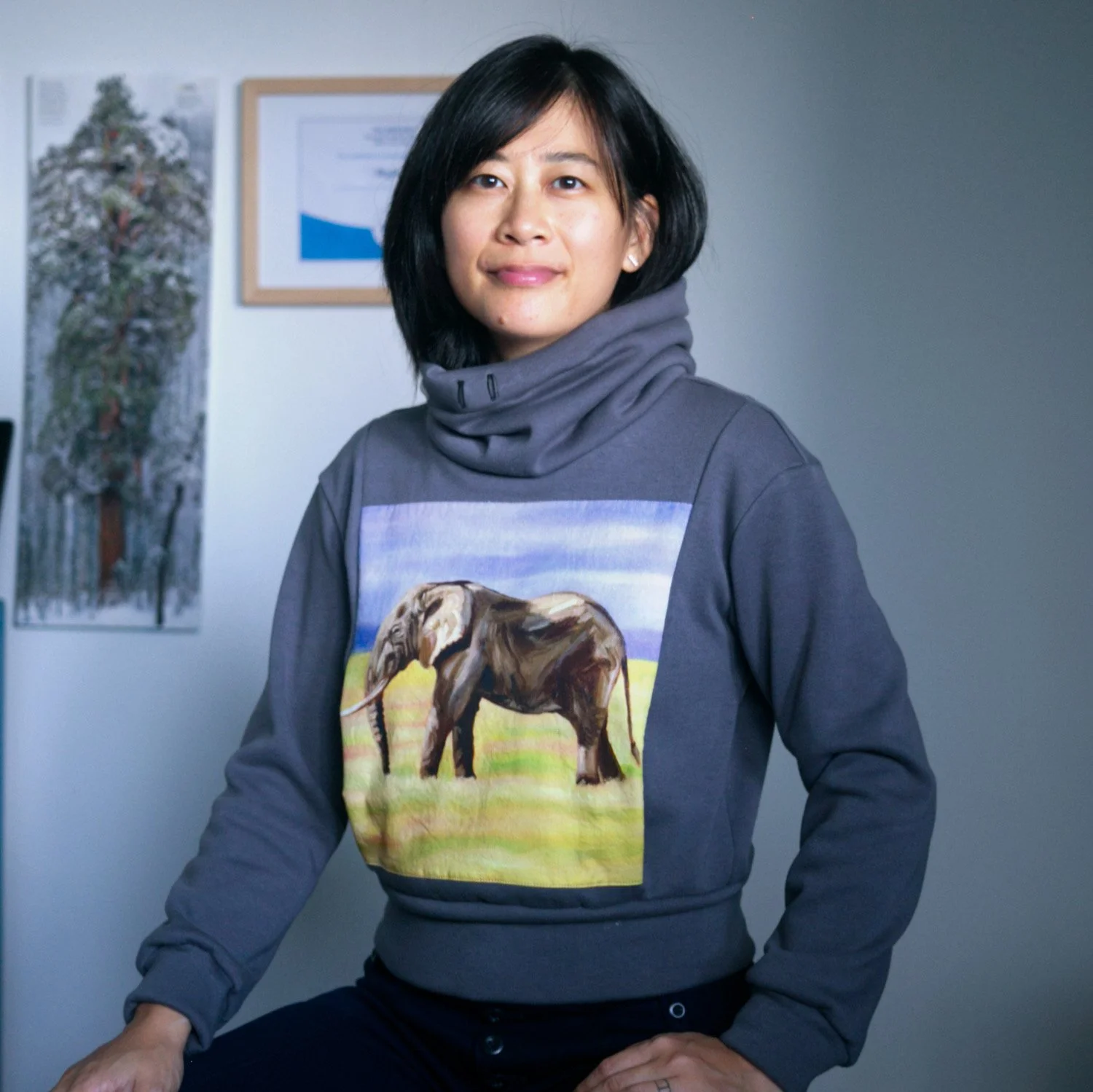 Nancy elephant sweatshirt 4.jpeg