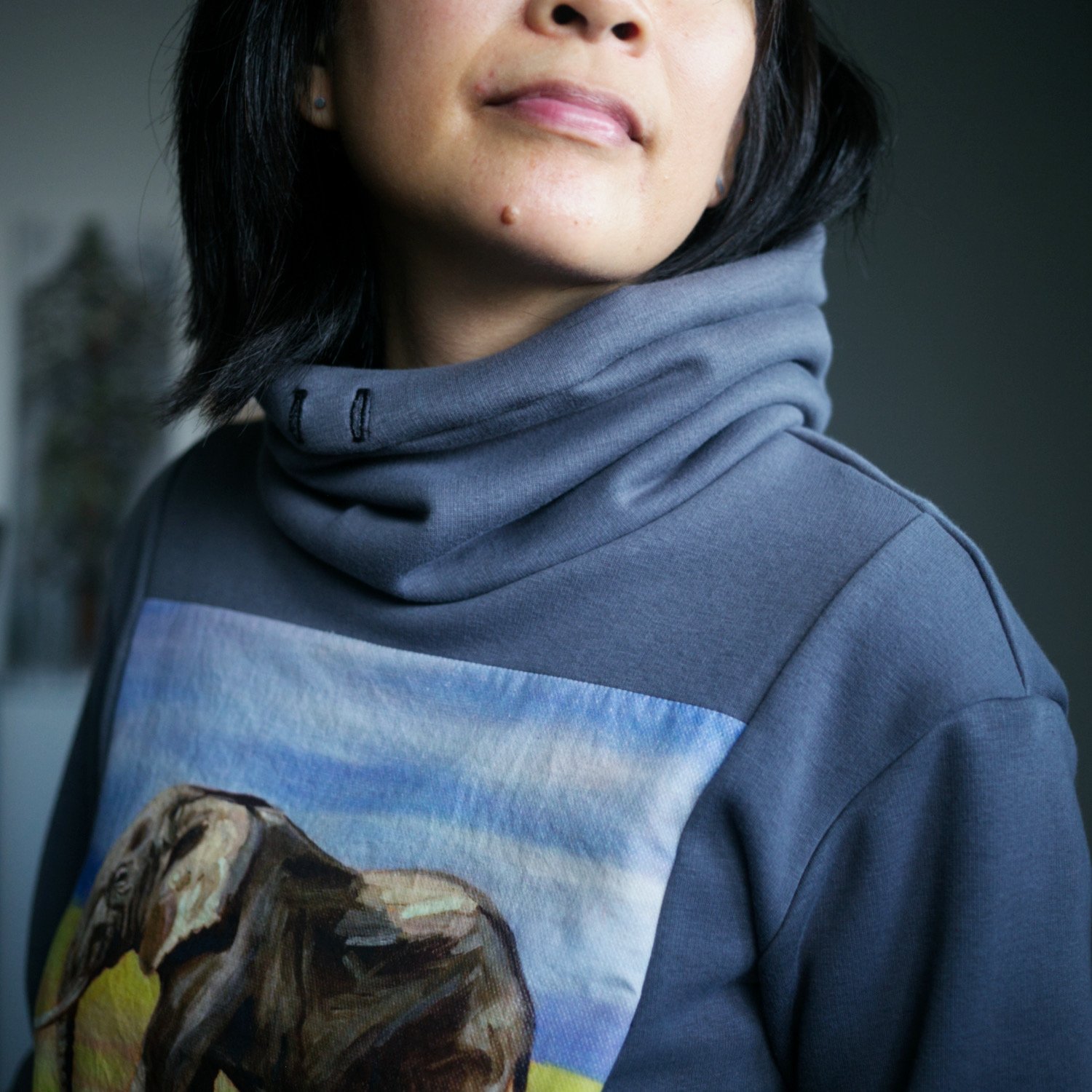 Nancy elephant sweatshirt close.jpeg