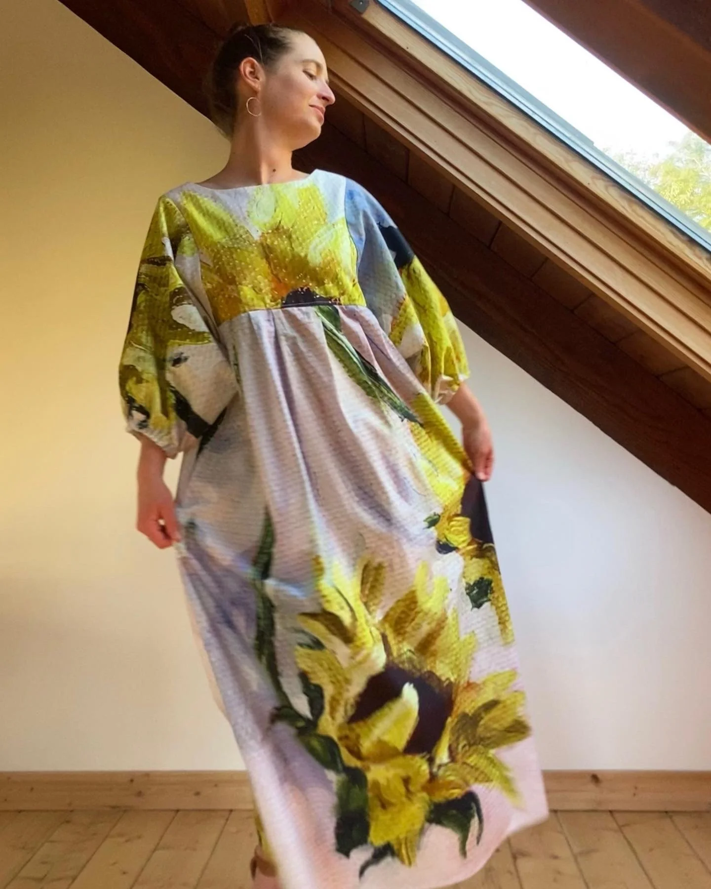 Sunflower pauloa Ig 5.JPG