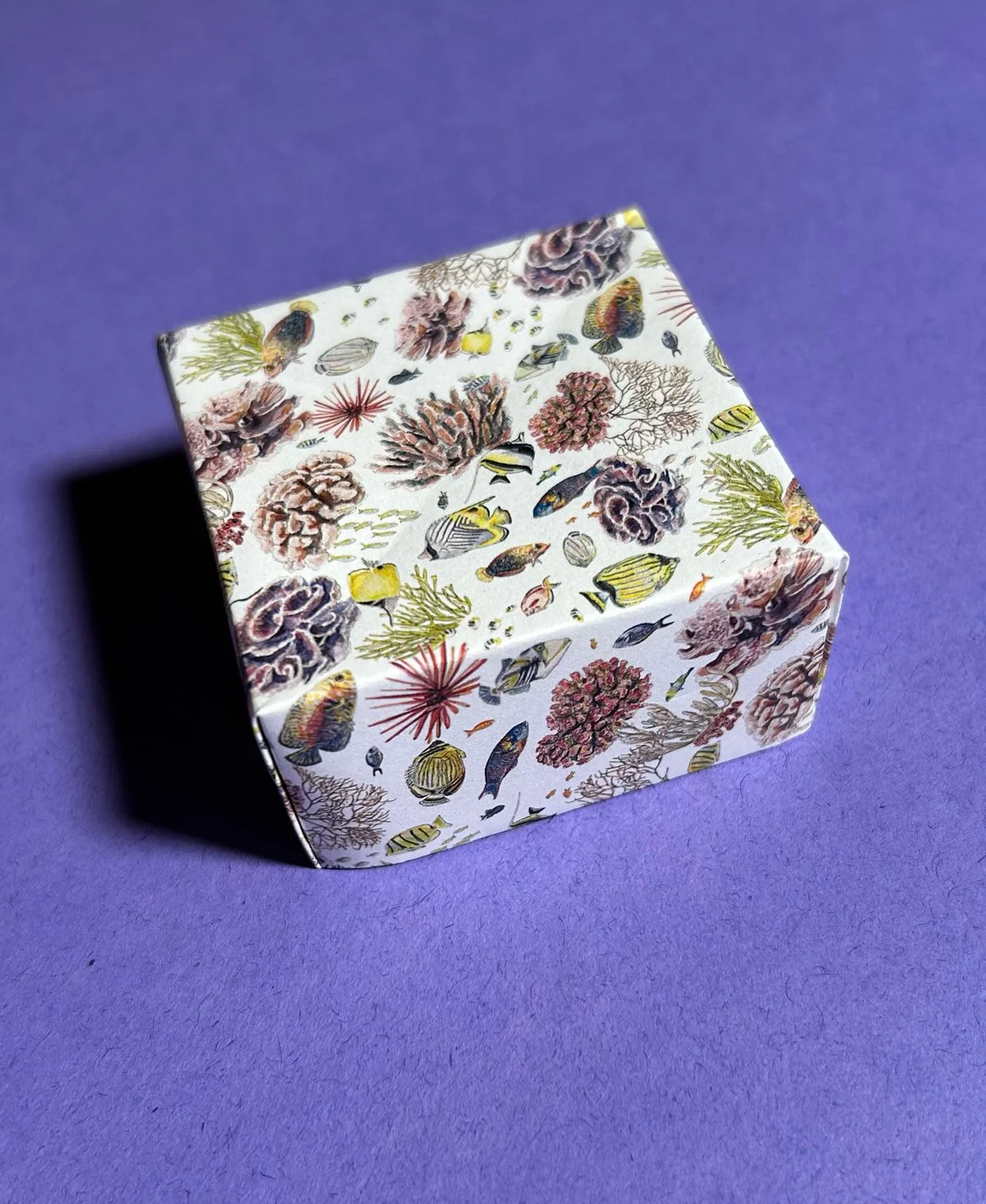 Origami Box Instructions