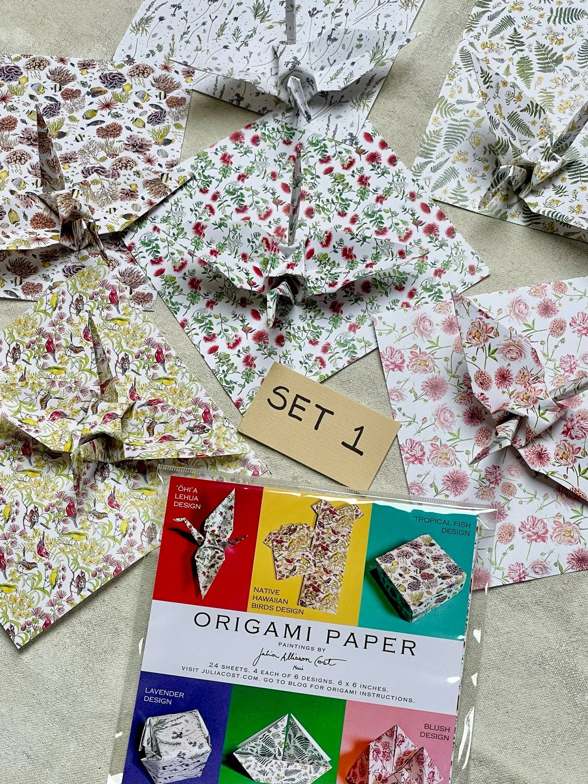 set-1-origami-pic-2.jpg