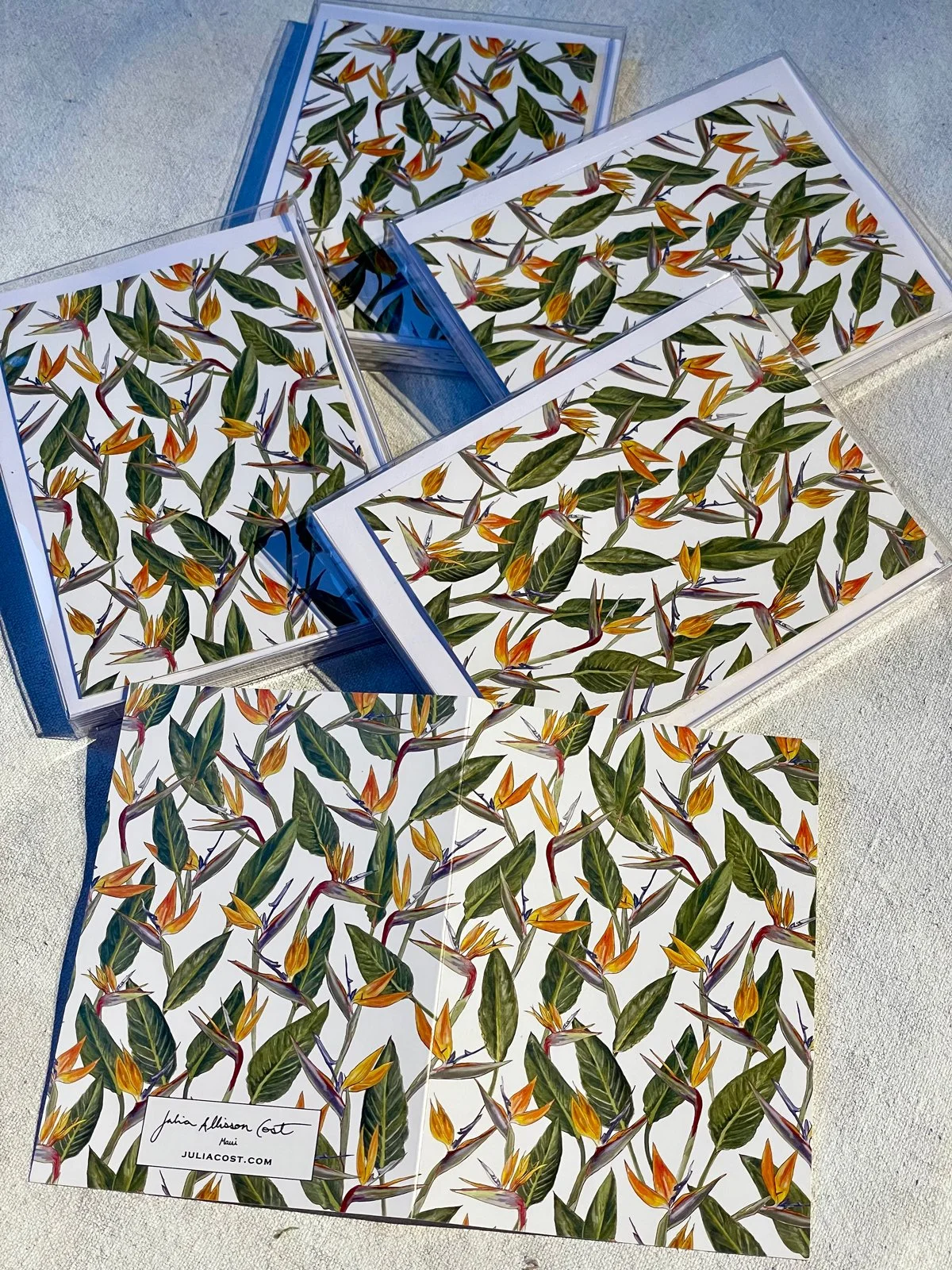 bird-of-paradise-note-card.jpg