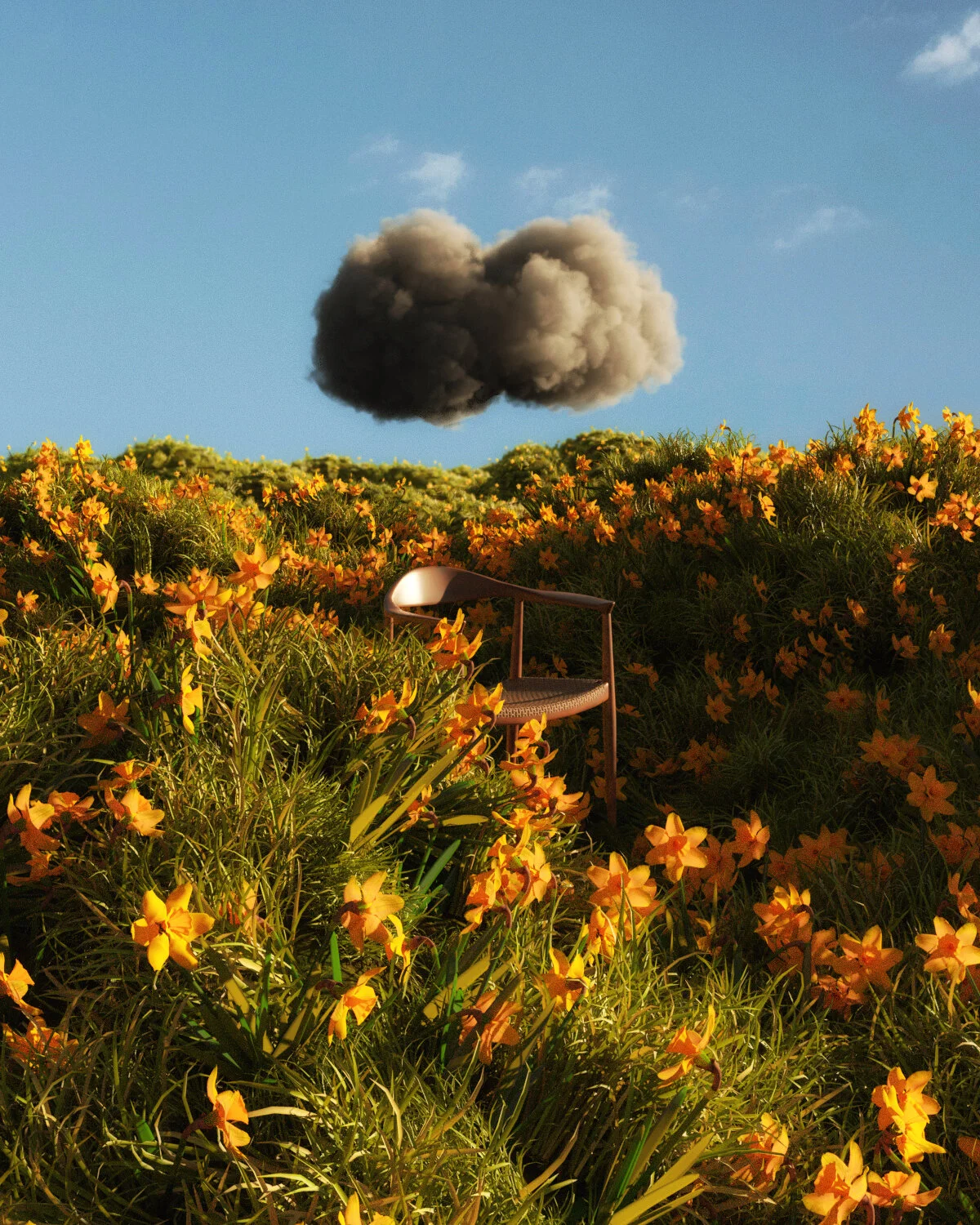 flowerfield.jpg