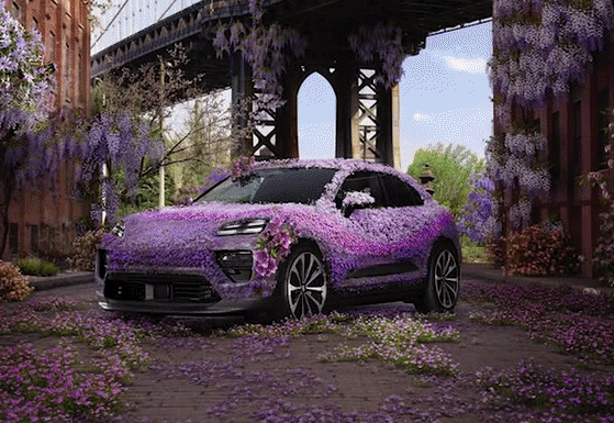 porsche1.gif
