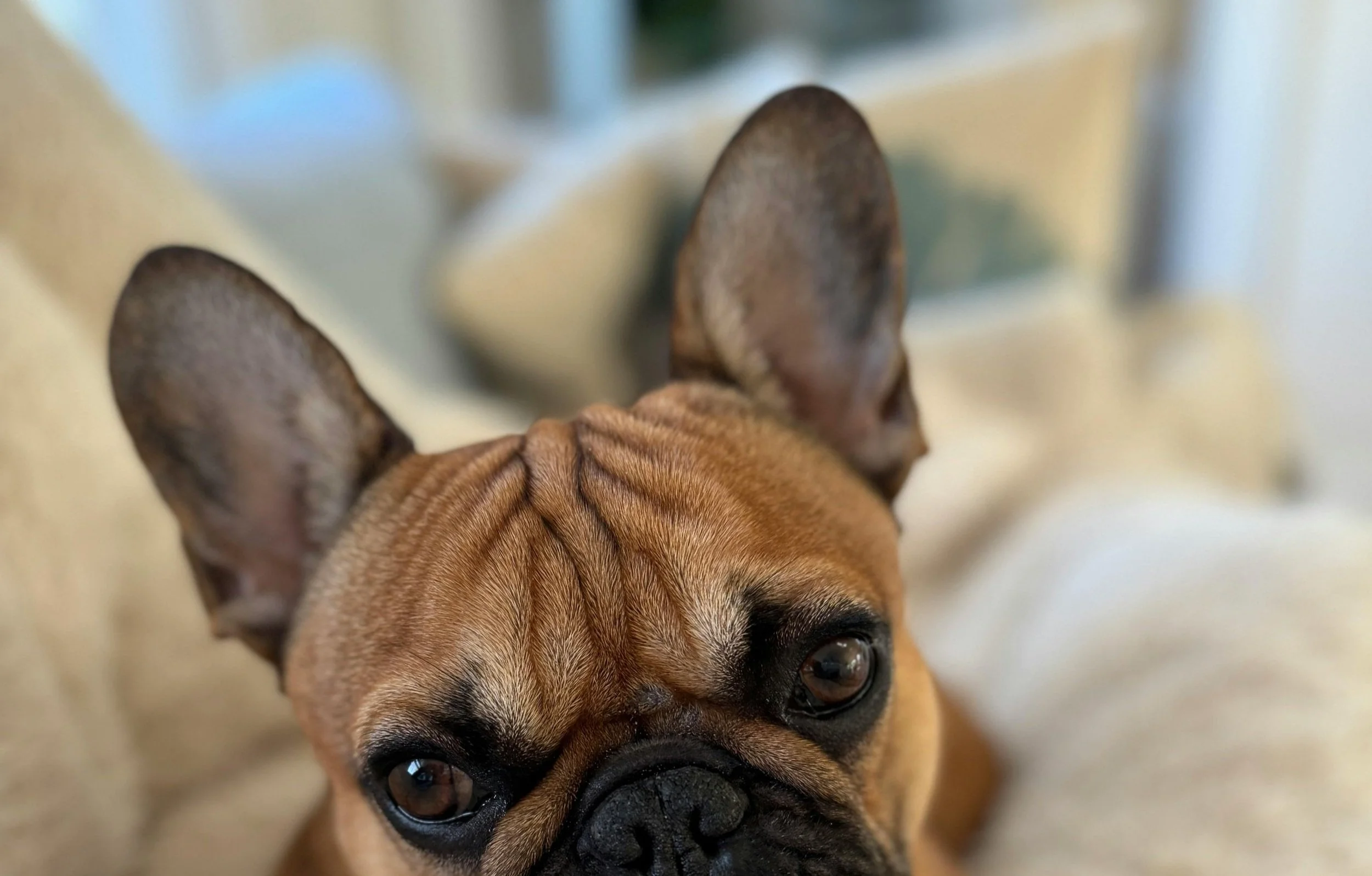 Photo by David Kanigan