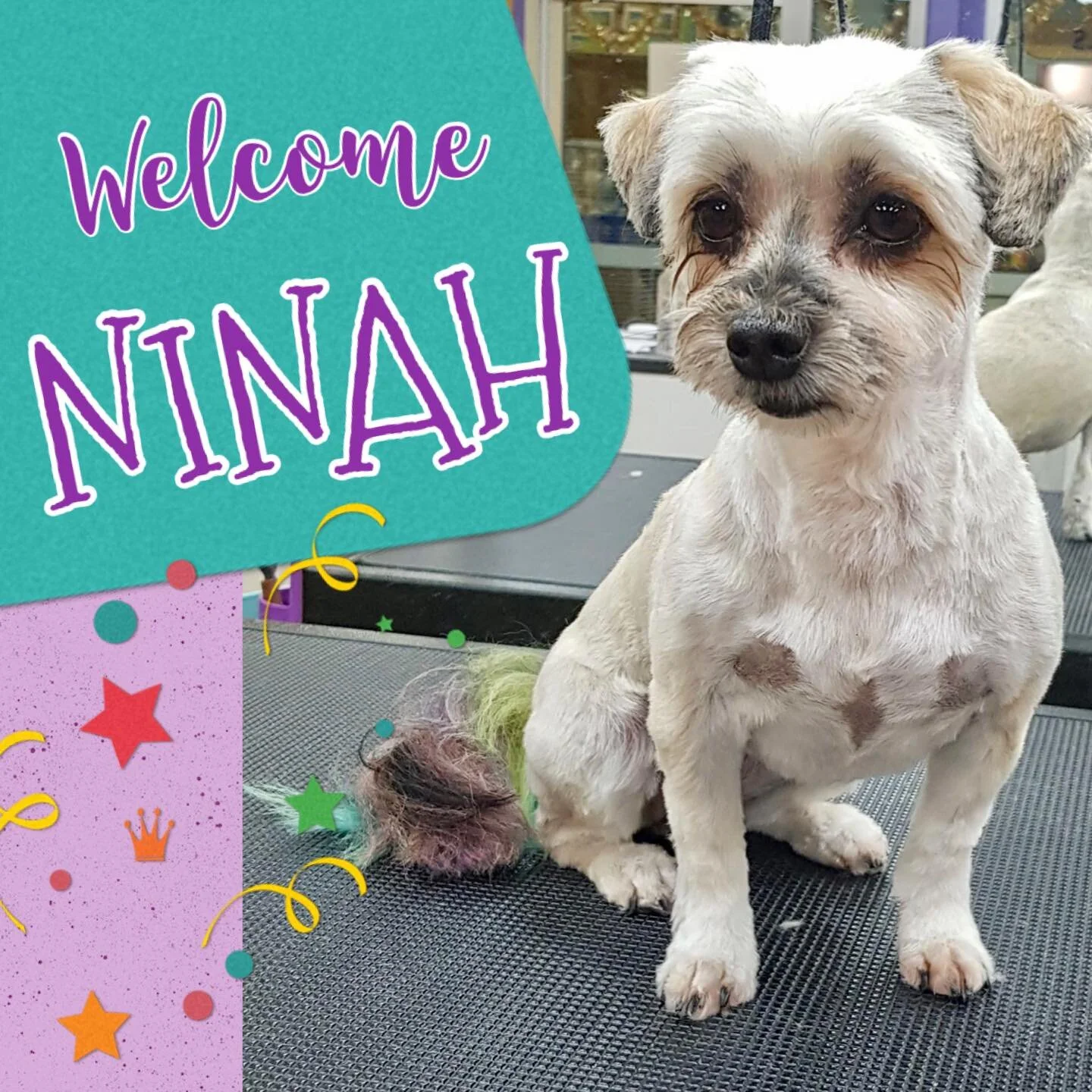 CRQ 03 Ninah.jpg