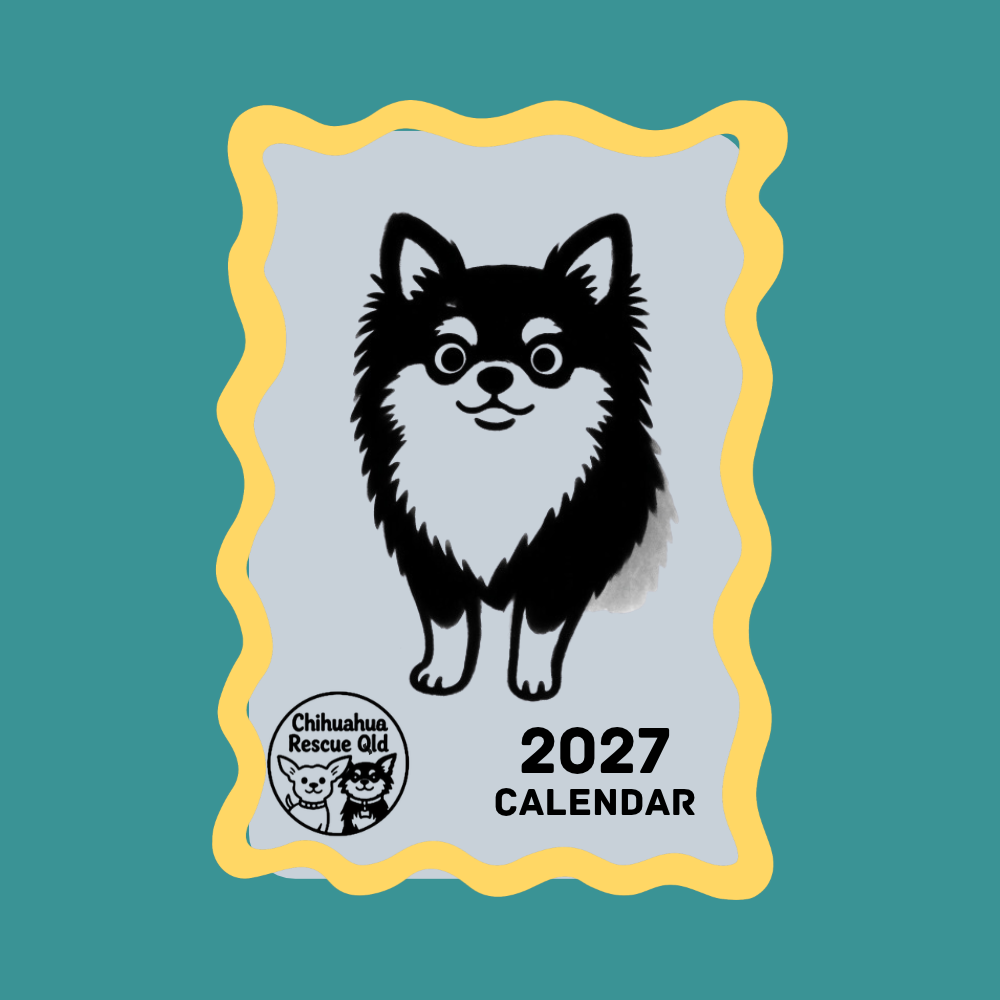 2027 Calendar (PRE-ORDER)