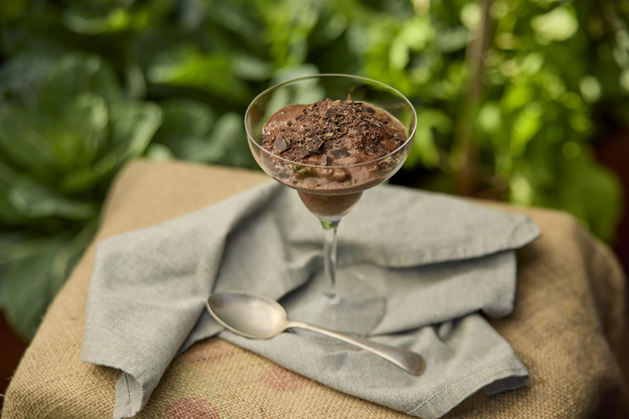 Chocolate Mint Nice Cream