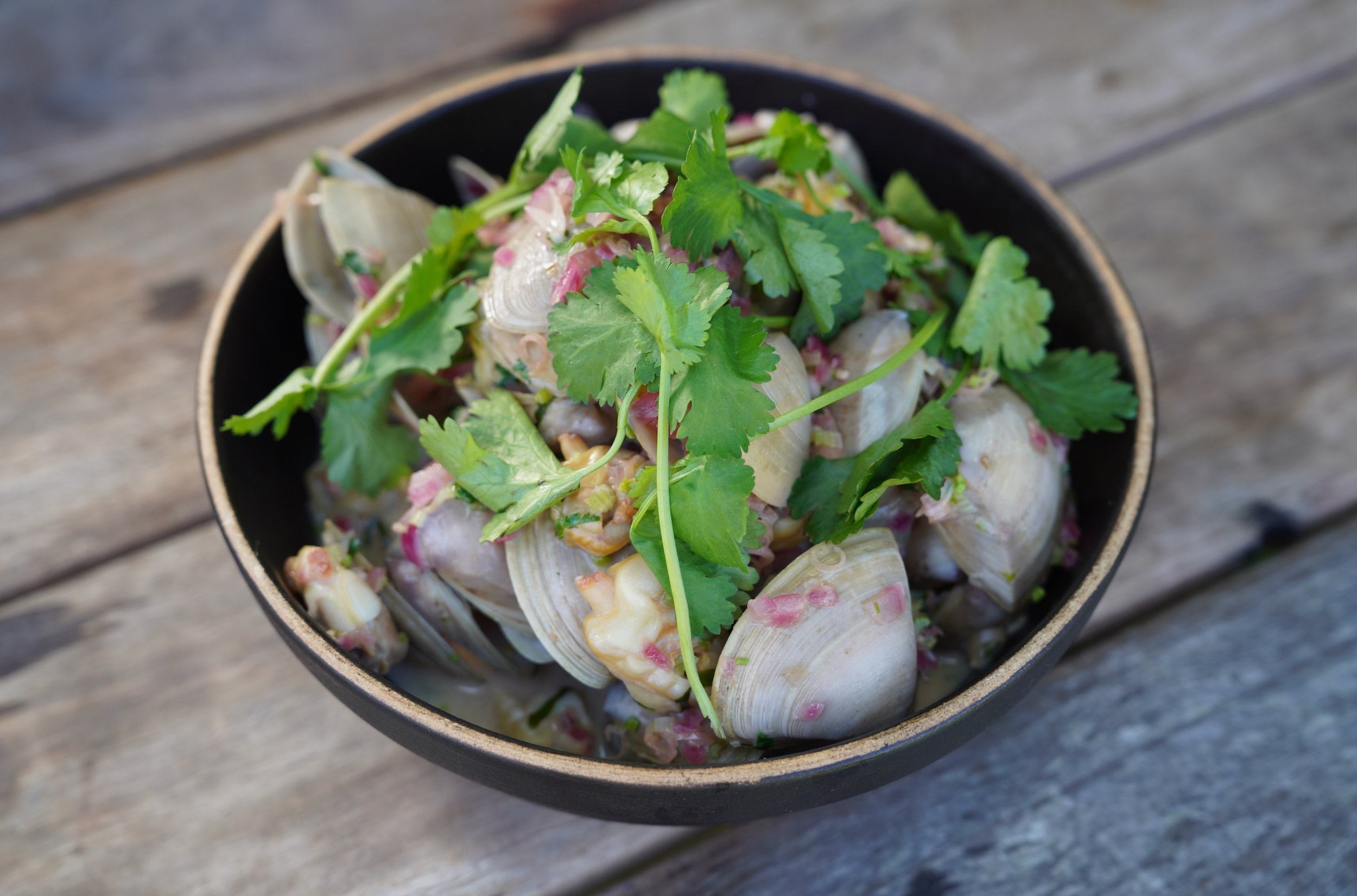 Coconut Vongole