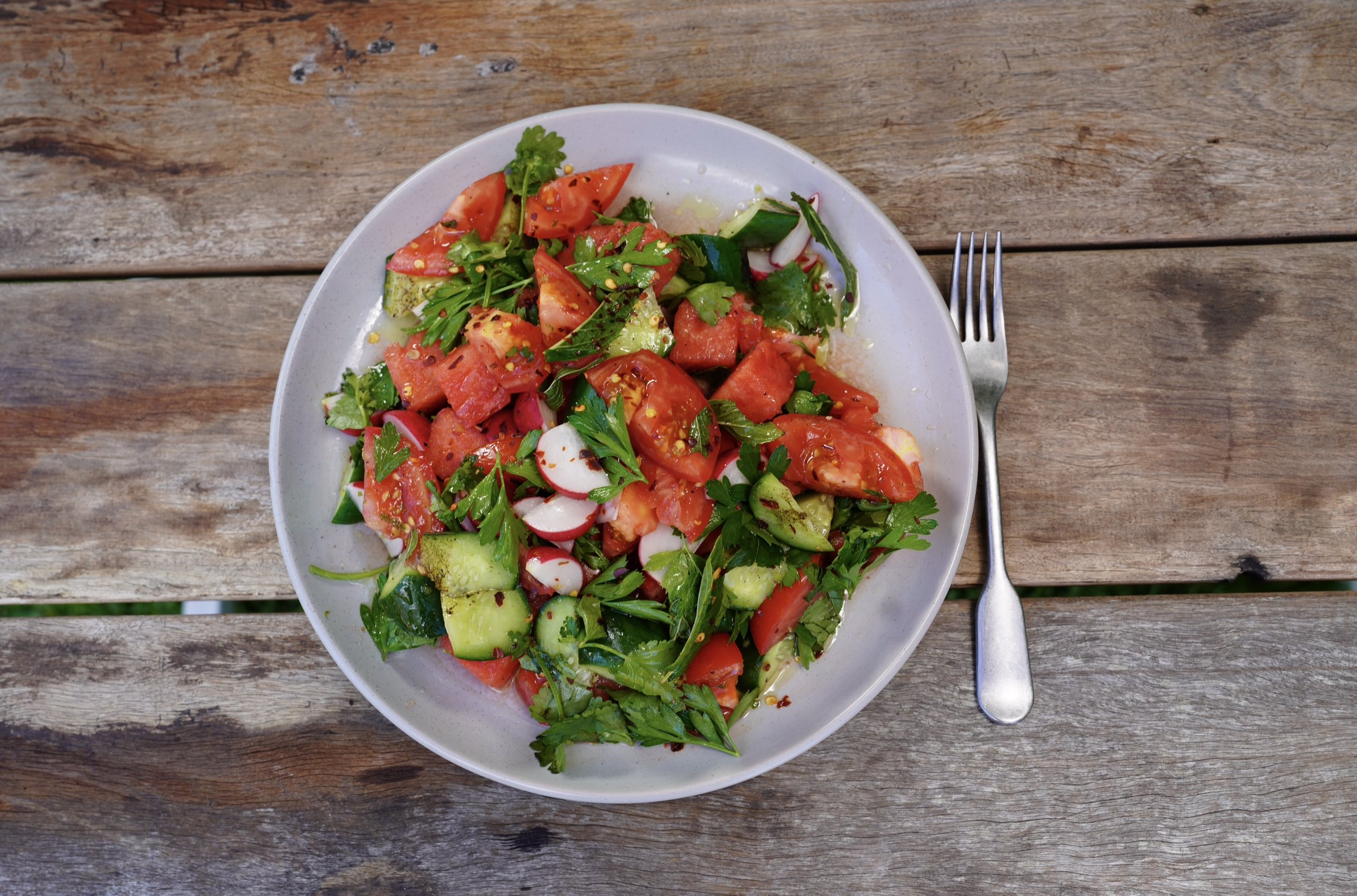 Tomato, grilled cucumber, watermelon, radish salad