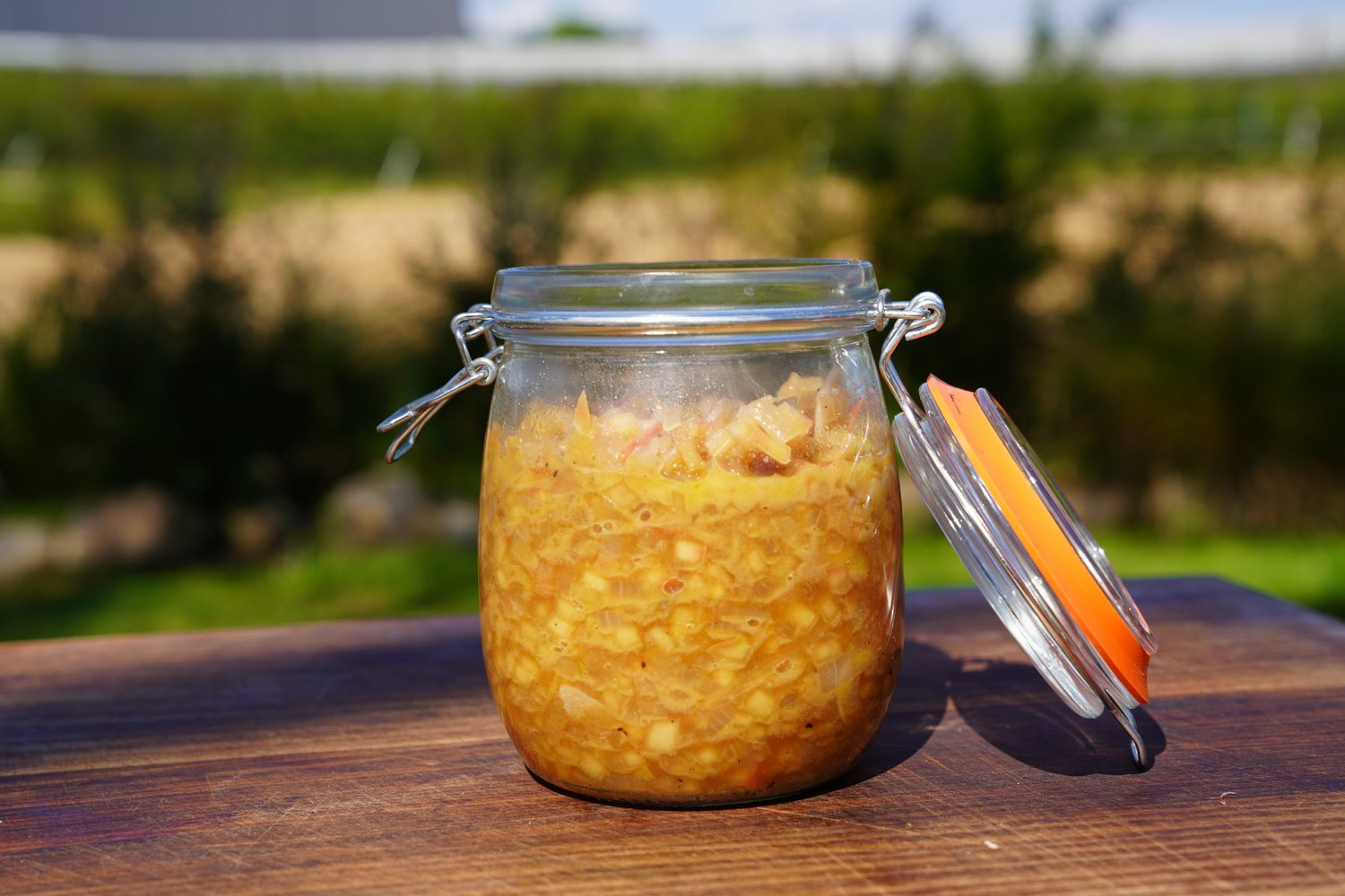 Envy Apple & Mustard Ketchup — Farm to Fork