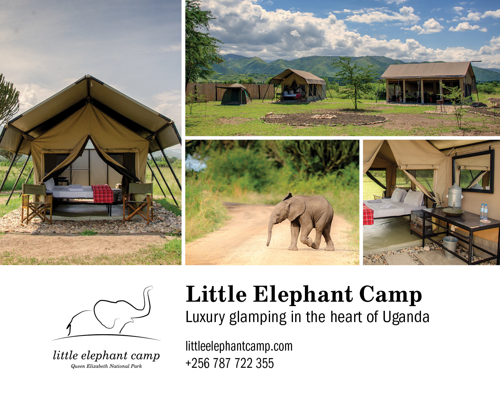 LittleElephant_Ad 2019 Final 2.png