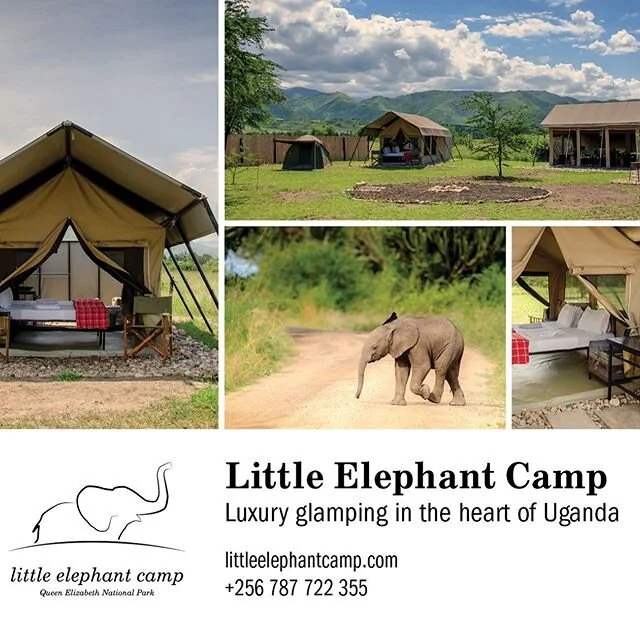 Snapshot of the advertisement I created for @littleelephantcamp that can be viewed in Uganda: Bradt Travel Guide. ⁣
⁣
Planning a trip to Uganda? Definitely book a stay at @littleelephantcamp and be sure to get your copy of the Uganda @bradtguide
