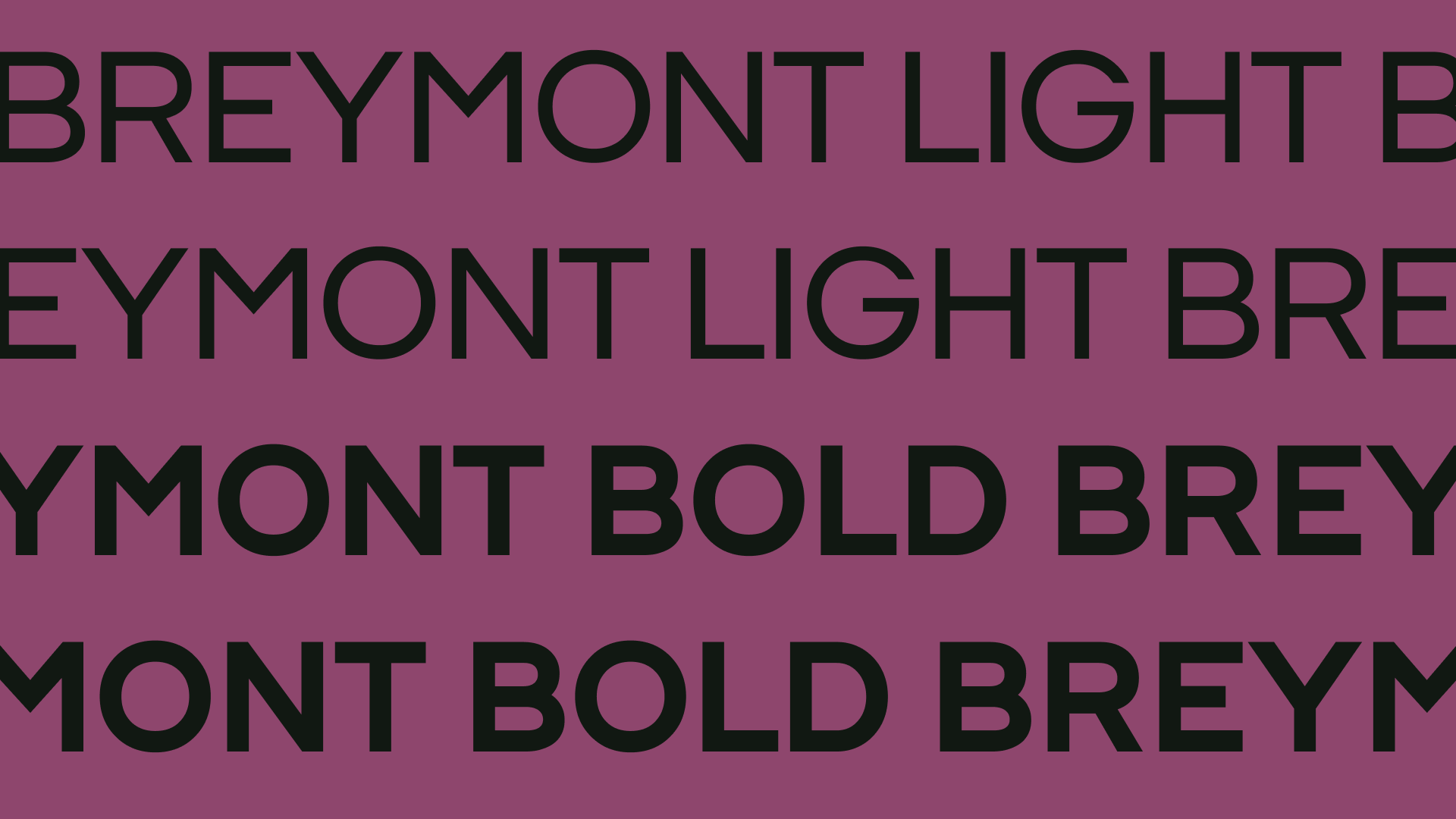 C5 Typography Cover.png