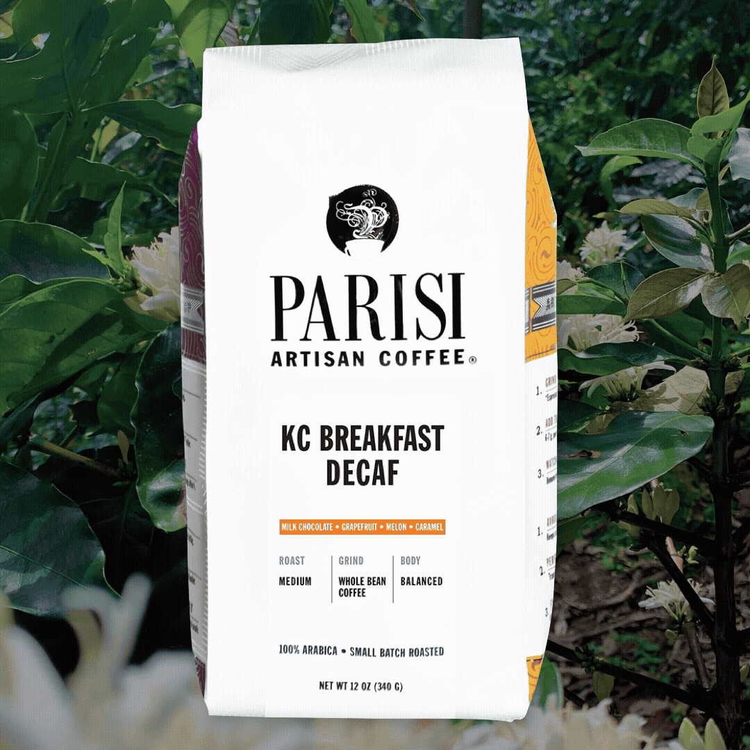 Convert to GIF project.gif