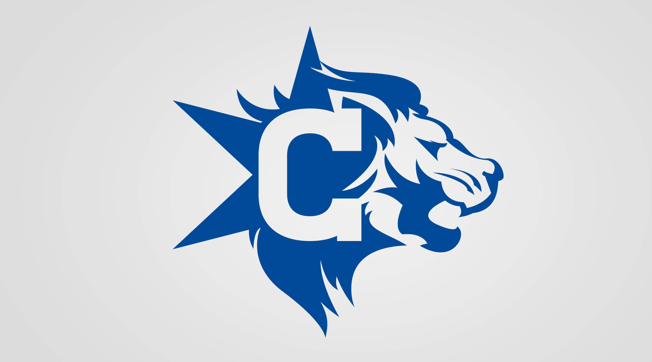 CC7.jpg