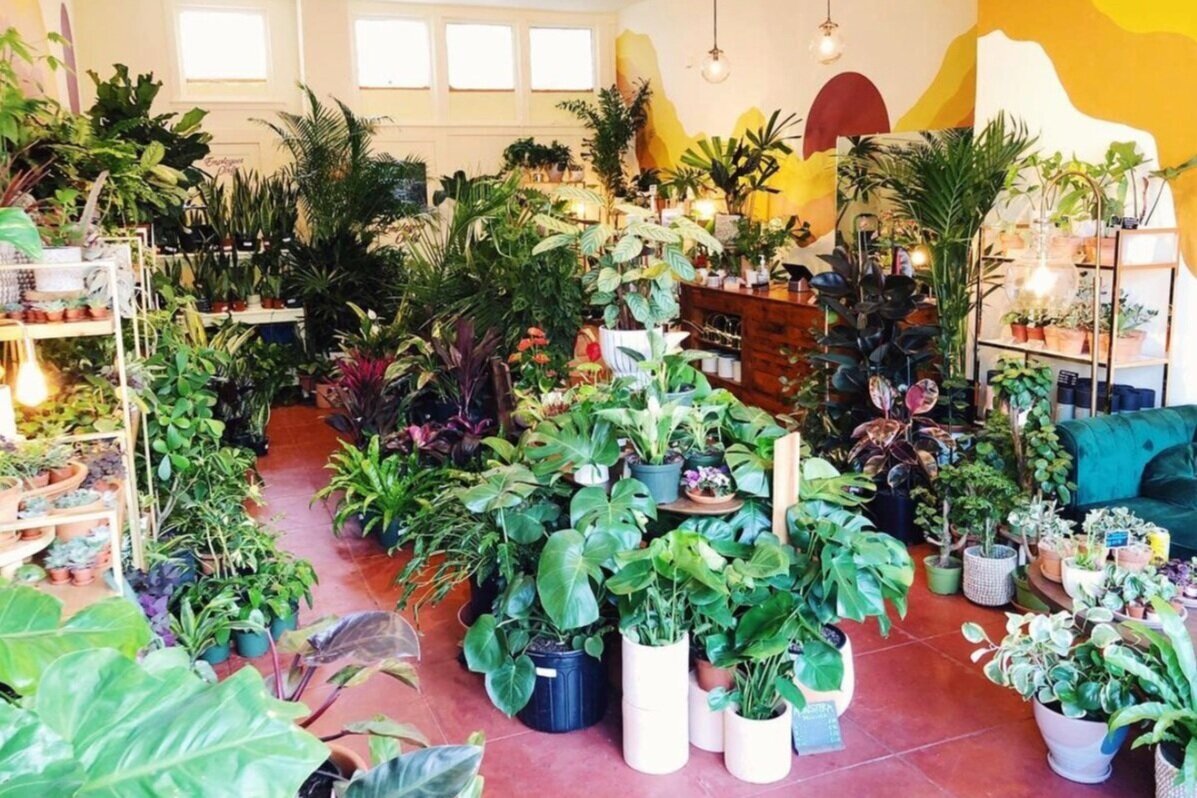 Screen Shot 2021-06-23 at 7.59.42 PM.png