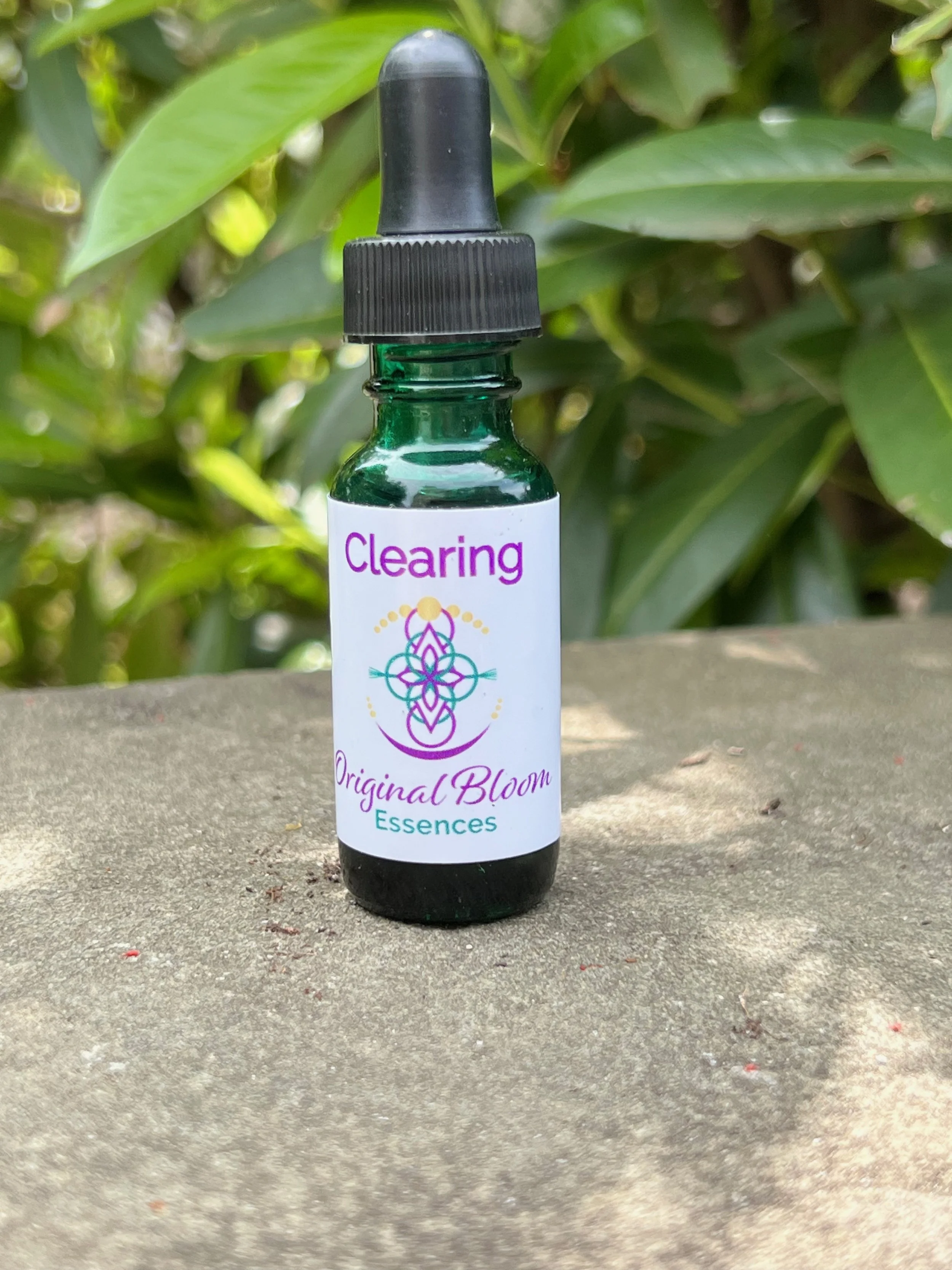 sb clear jade