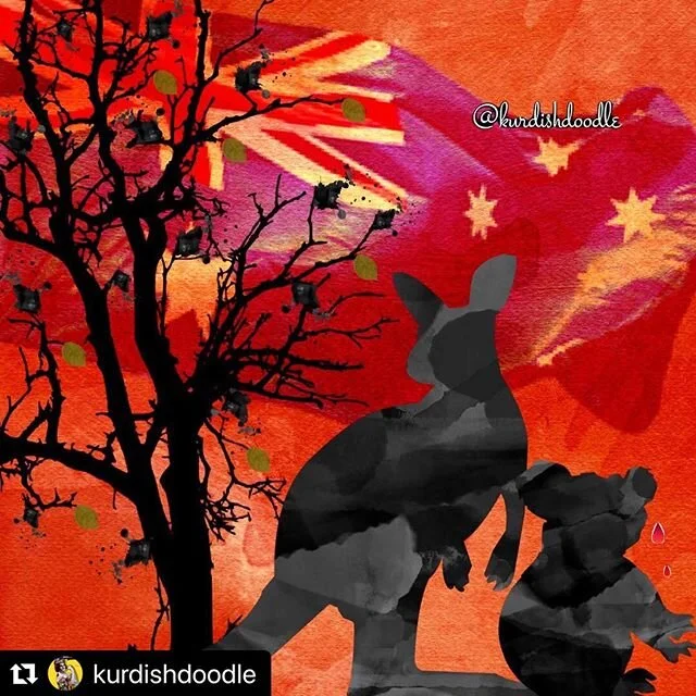 Thank you to Kurdish artist @kurdishdoodle for this artwork depicting the devastating bushfires we are experiencing in Australia. #Repost @kurdishdoodle with @make_repost
・・・
Ecocide. 
#australia #australian #australiafires #australiafire #koala #koa