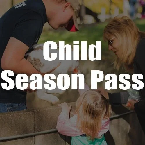 Child+Season+Pass.jpg