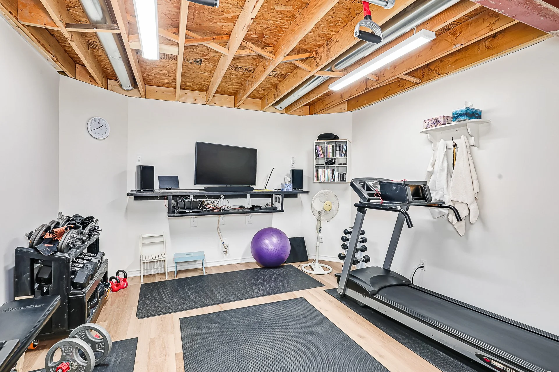 Collingwood home gyn renovation.jpg