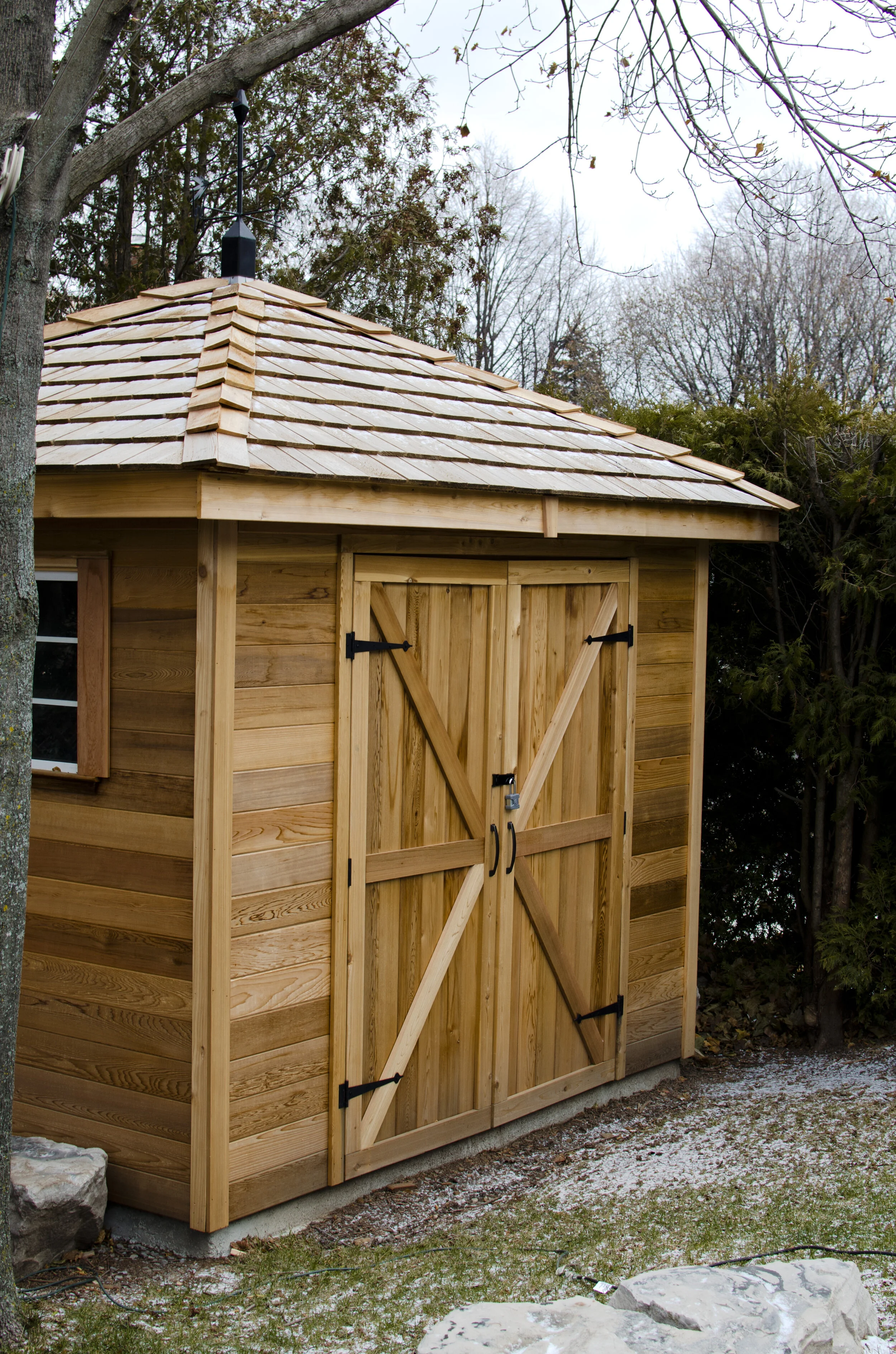 Fessenden Cedar.jpg