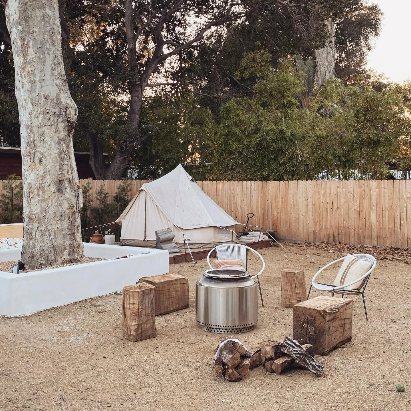 Slowly coming together. Thinking of moving on from my tent days and get a greenhouse/sauna. Thoughts? #casawilder #ranchowilder #renogal