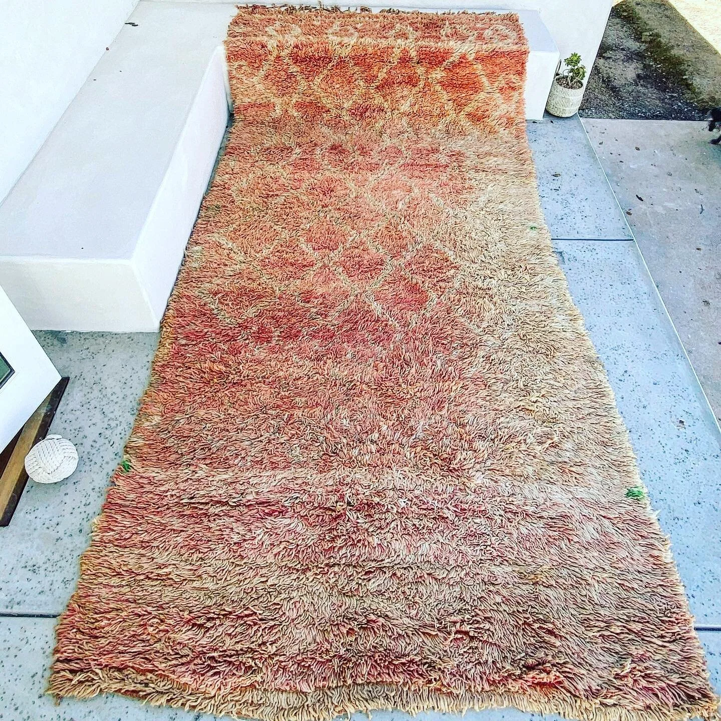 Rugs for sale! Go to my other account for details and Dm for price. @thayerandco