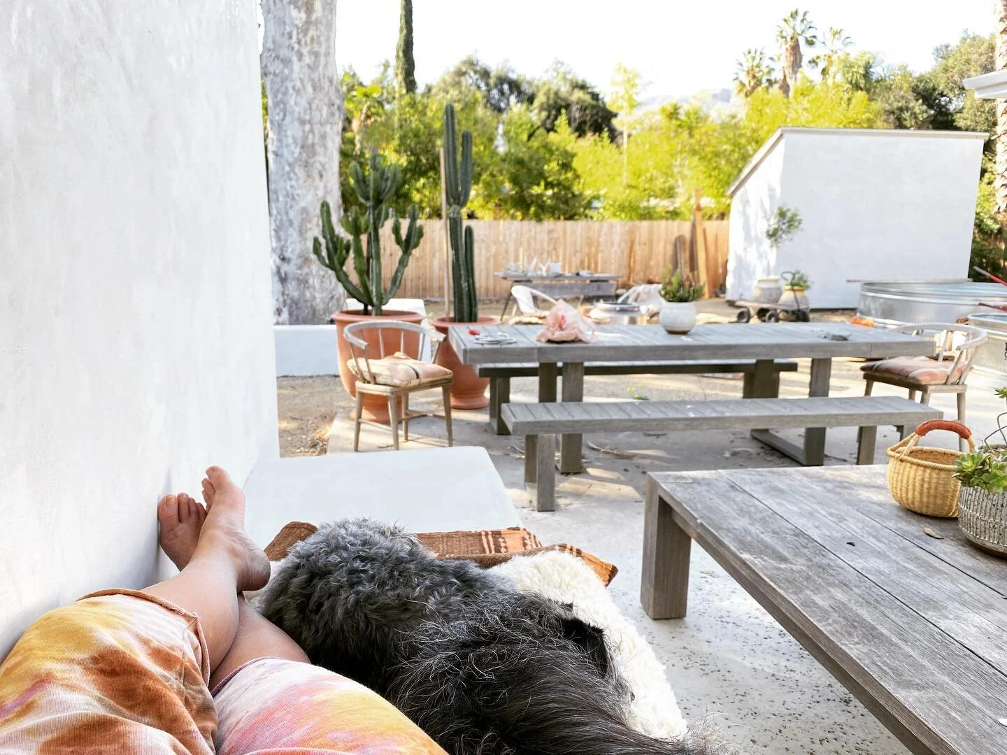 First time enjoying my outdoor Lounge area and fruits of labor. I am loving every second of it. #casawilder  #renogal