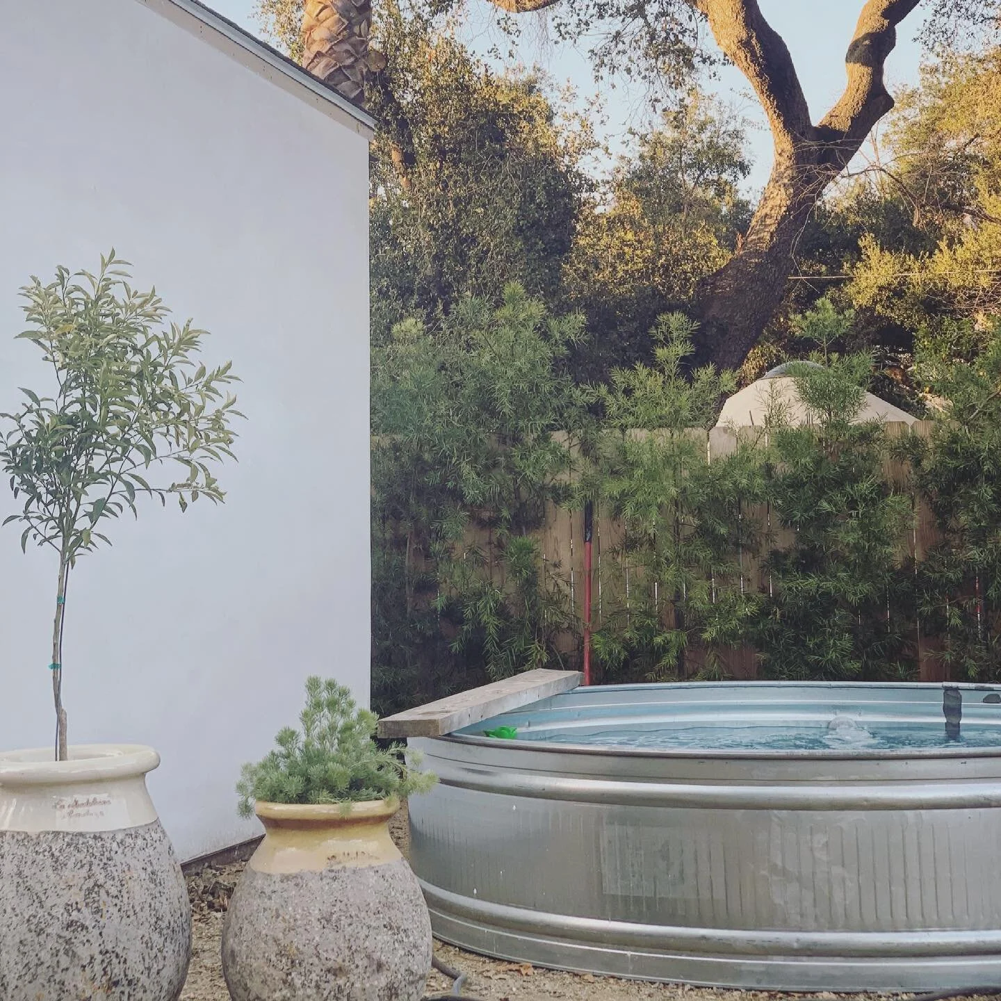 Pool is in! So ready for you summer!