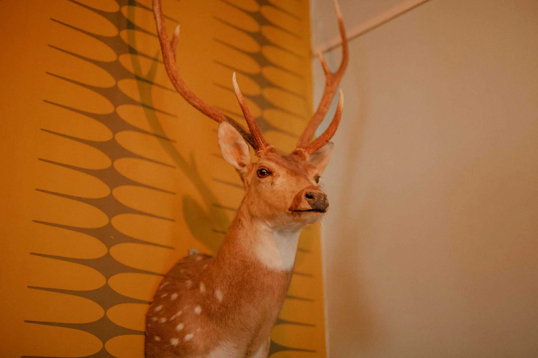 2020.01.24-PROOFHQ(124of171).jpg