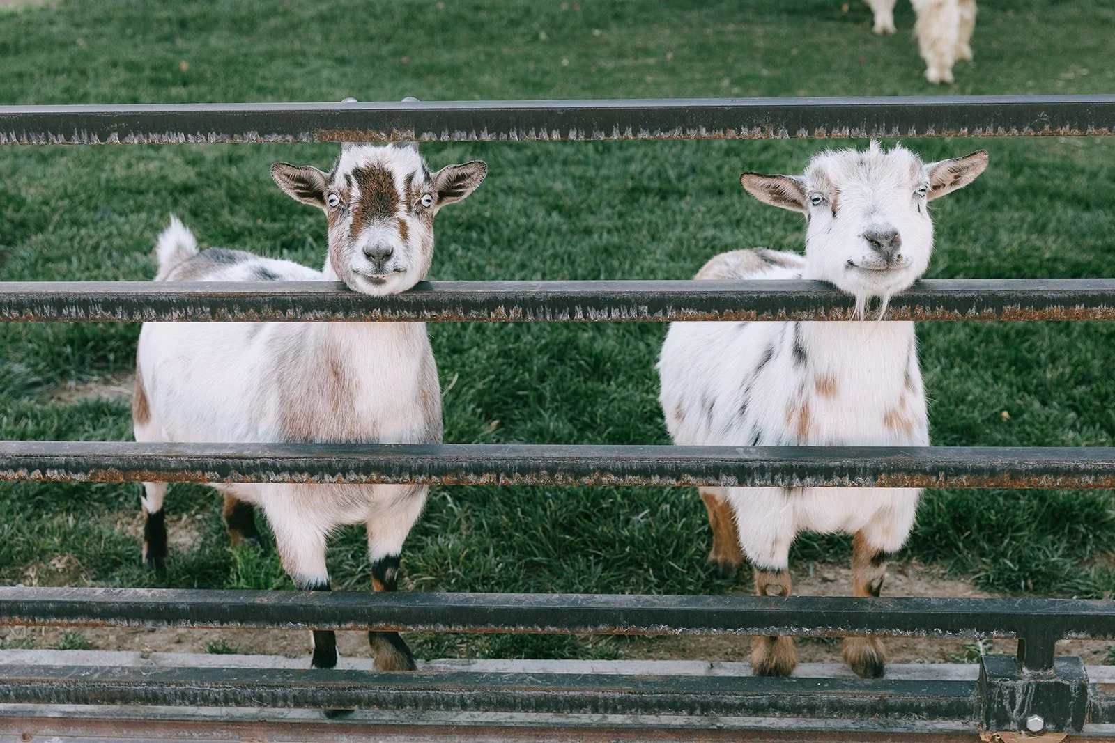 Lindsay and Bradley_s Wedding.Full Gallery-340.jpg