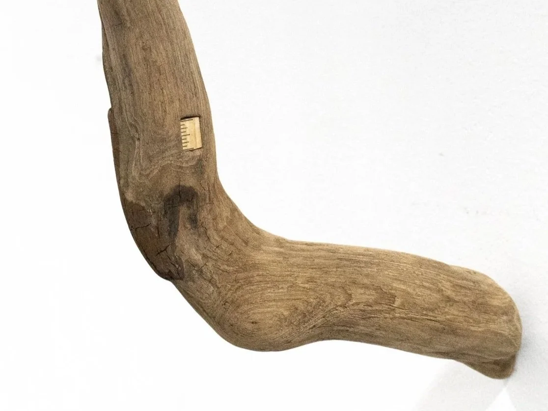 Stepmother No.5_view 1.jpg