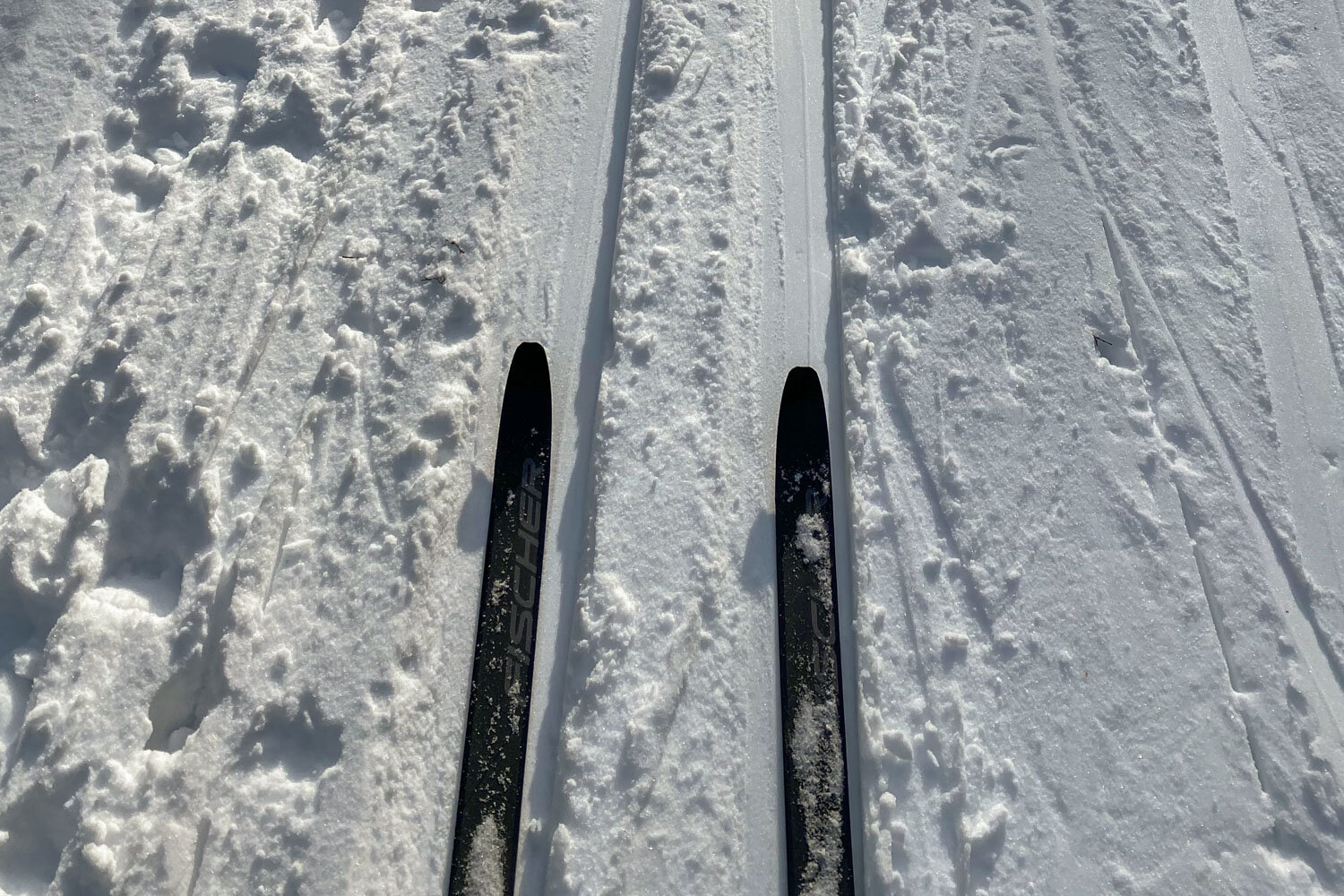 skiing-blueberry-ridge-7579.jpg