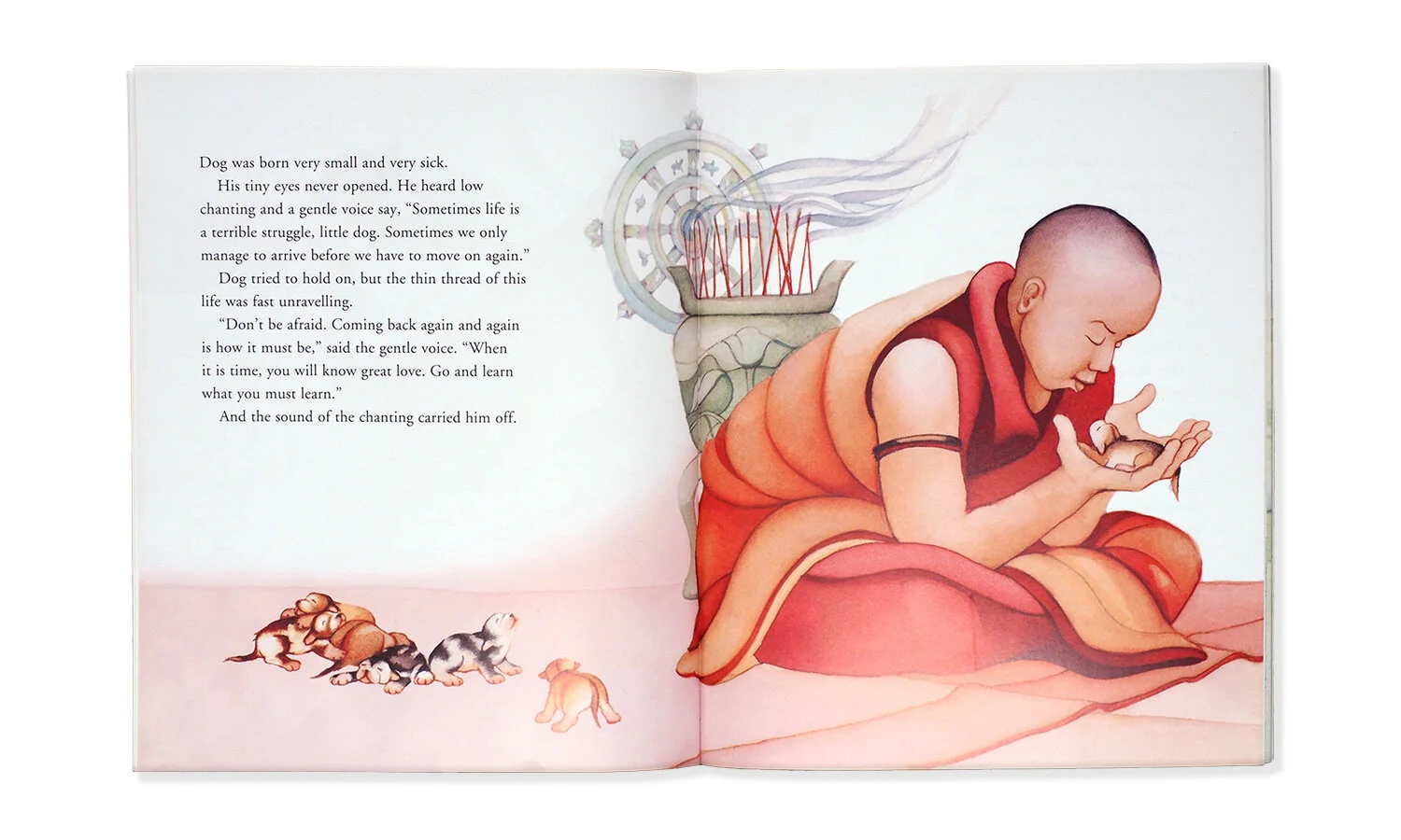 Samsara-Dog-p2.jpg
