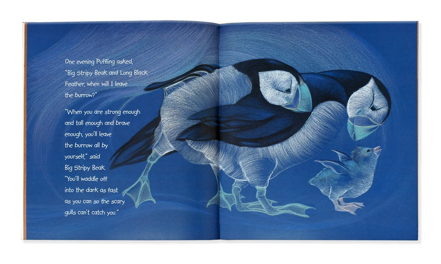 Puffling-spread-p1.jpg