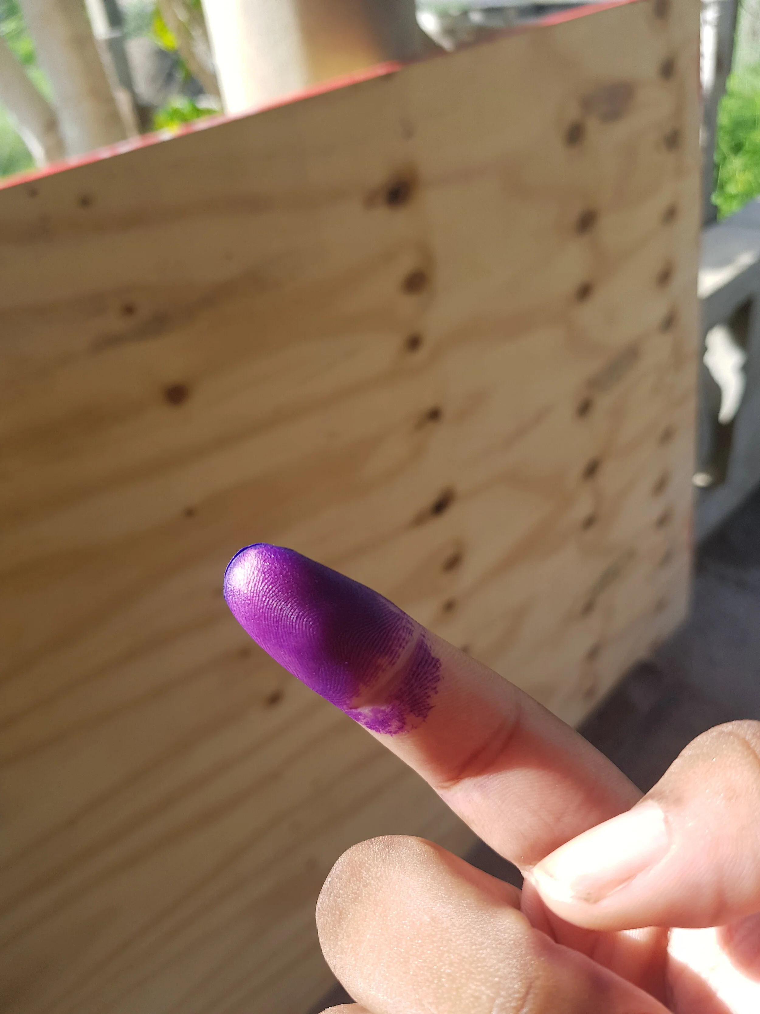 I Voted Today! 