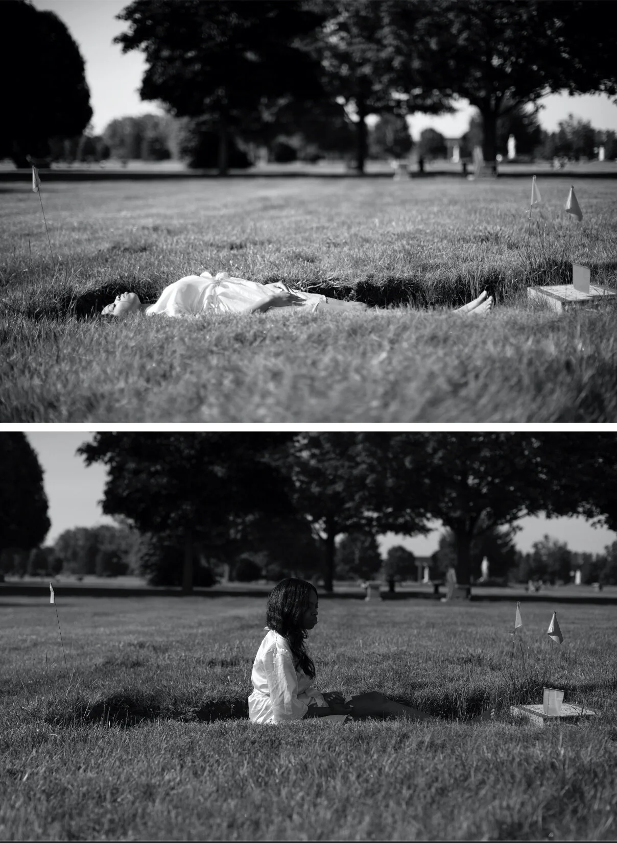 "I'll fly away" 2019